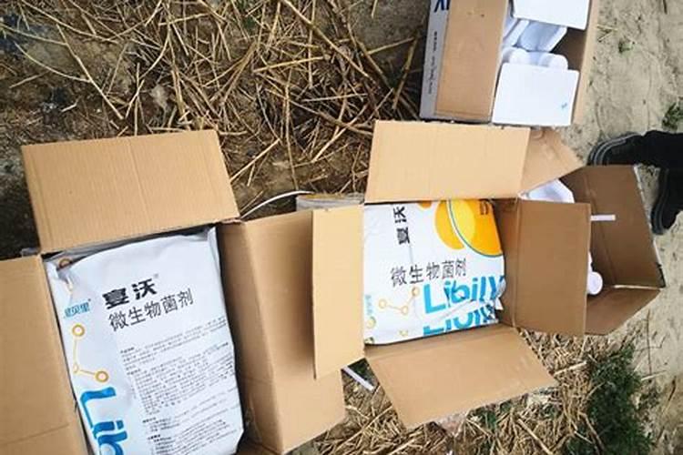 观叶植物专用肥料是什么
