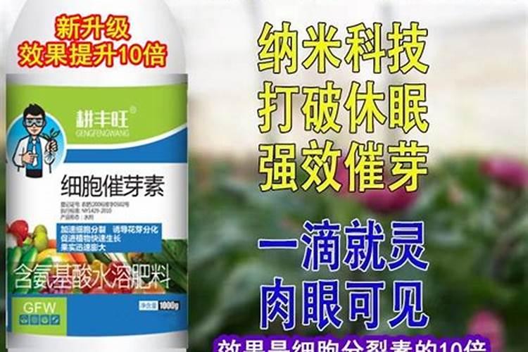荔枝树枯死是哪些原因导致的？