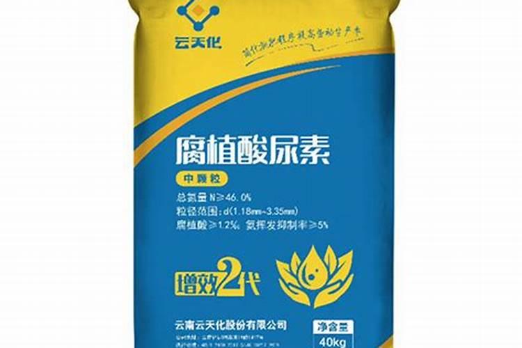 发财树2个月不浇水会死吗？