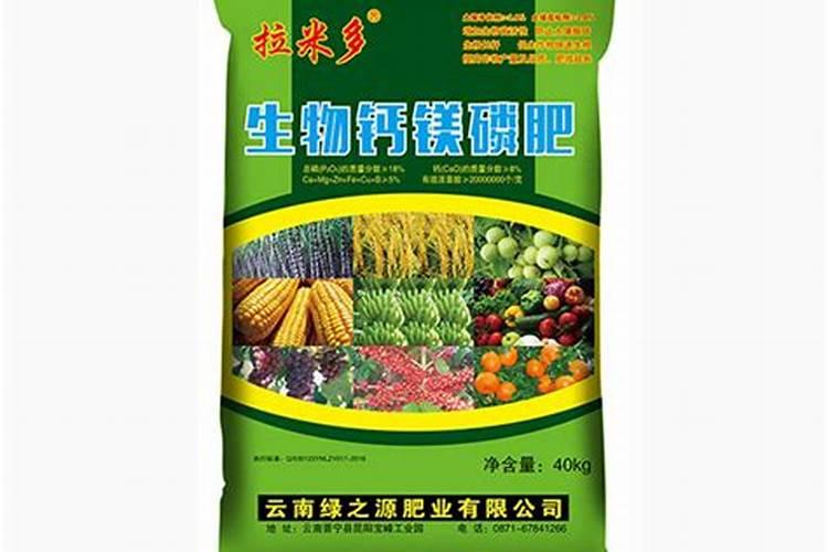 雪菊枸杞花果珍:锁定型男,一言不合就要喝茶静静