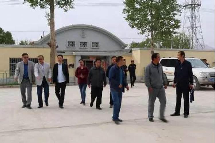 海西州农业大棚项目有没有合作种植模式