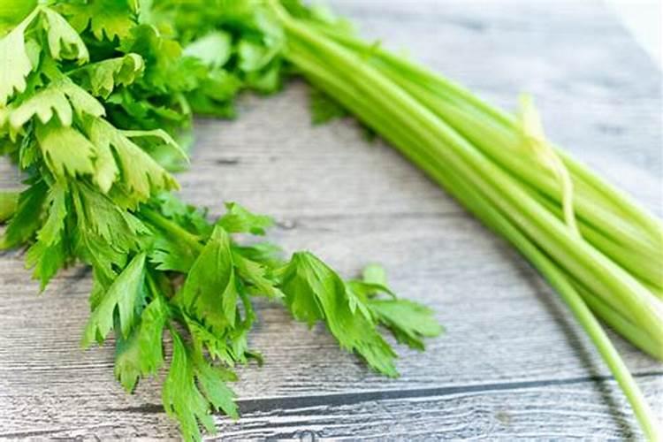 用什么肥种菜生长快