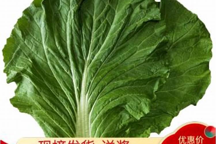如何提高氮肥磷肥钾肥的利用率