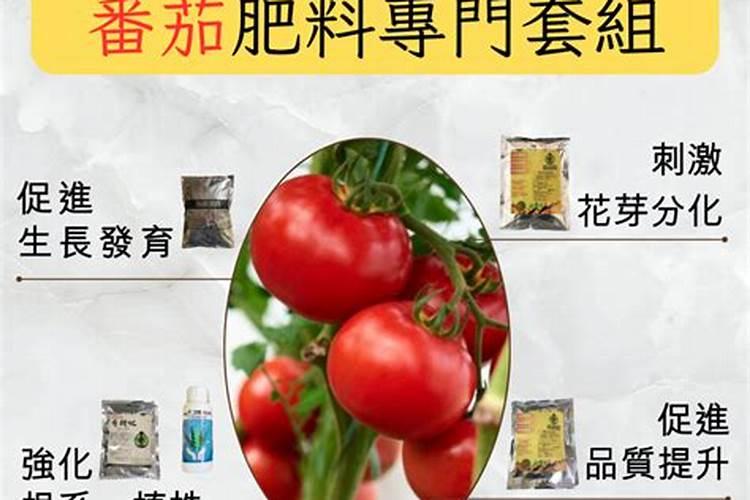 西红柿的种植用什么肥料好