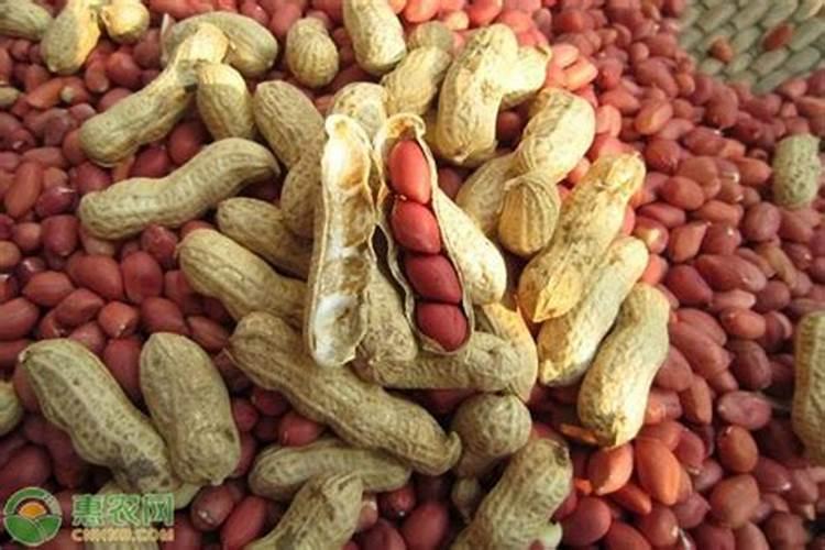 花生追肥用什么肥料