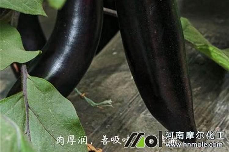 氨基酸,多肽和蛋白质的区别与联系