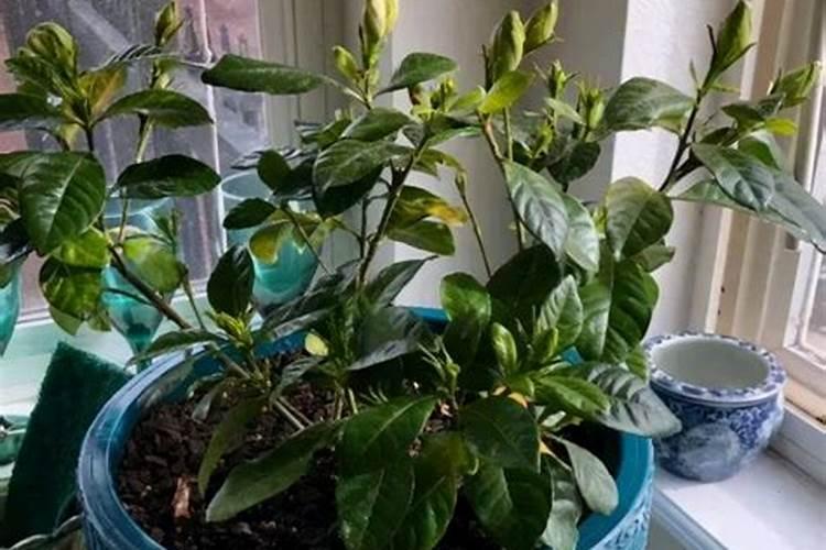 2026年高考分数线预测出炉,多少分才能上二本？看看你达标了吗？百度知 ...