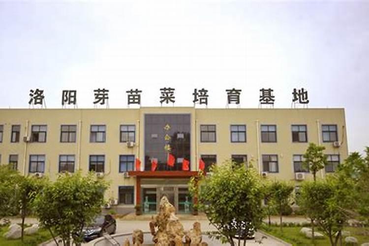 原俊钦履历