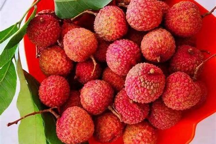 荔枝开花施什么肥 荔枝开花施哪种肥
