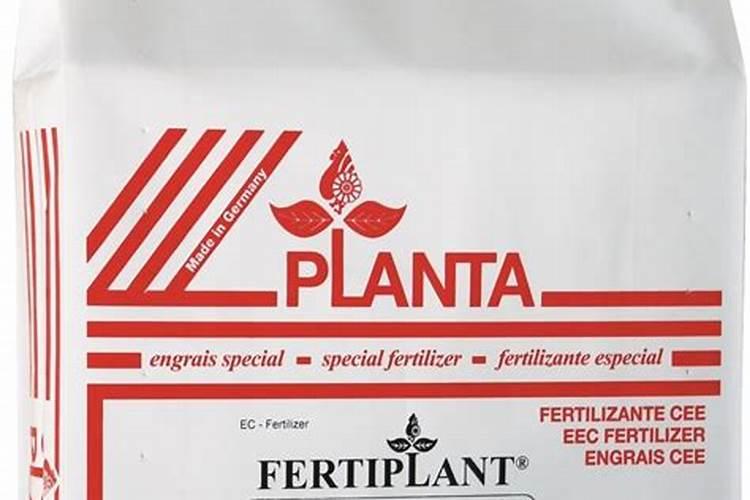 种草莓用什么肥料好
