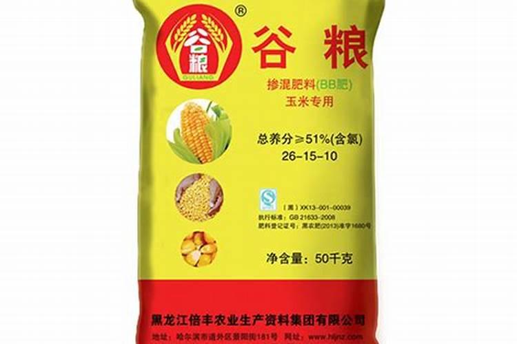 甘蔗的种植时间与方法图片