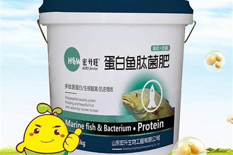 桉树施肥的正确方法