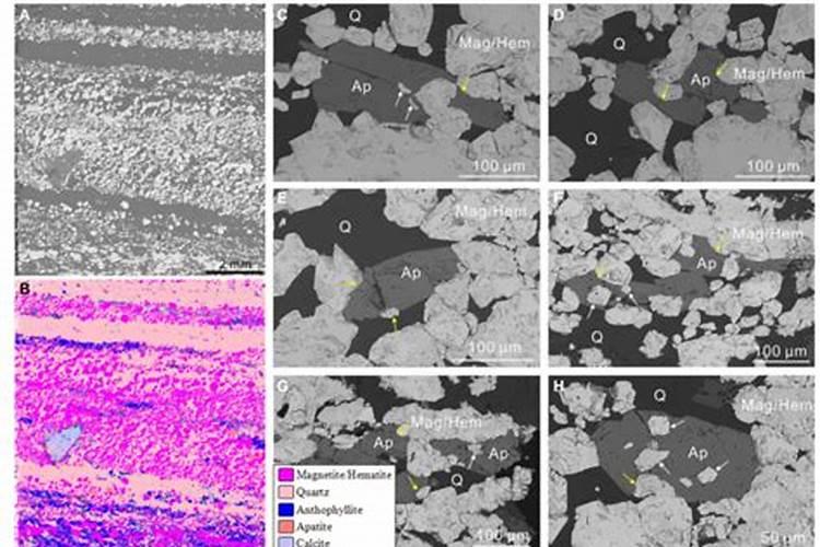 磷肥有哪些 花卉