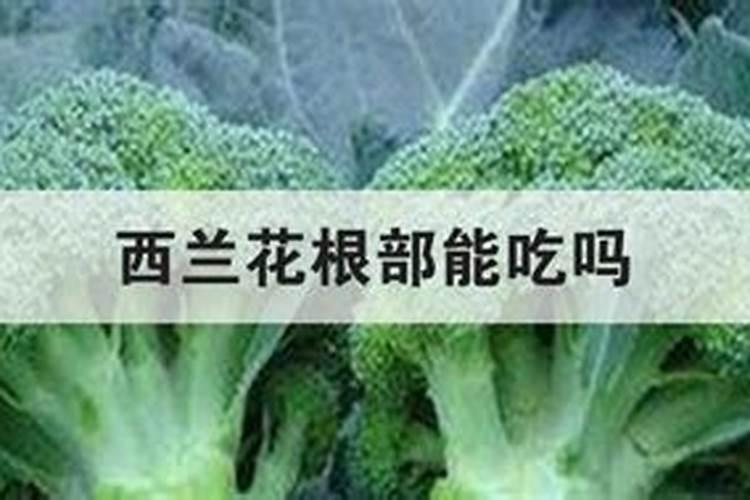 西兰花要施什么肥最好