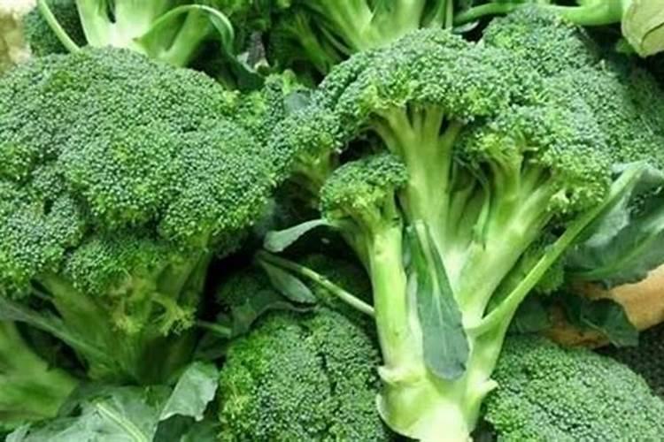 西兰花追肥用什么肥料好