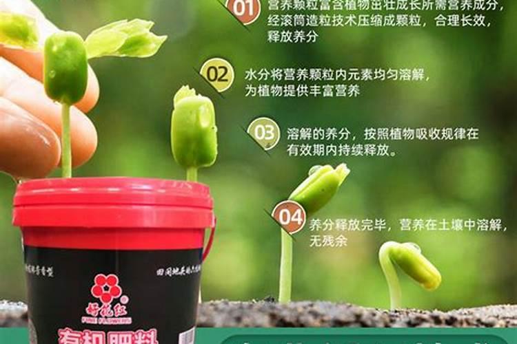 家里？植物用什么肥料好