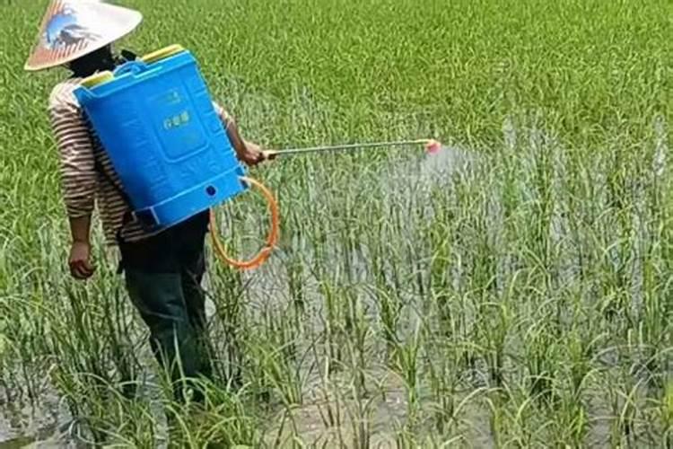 钾肥兑水可以灌溉吗？