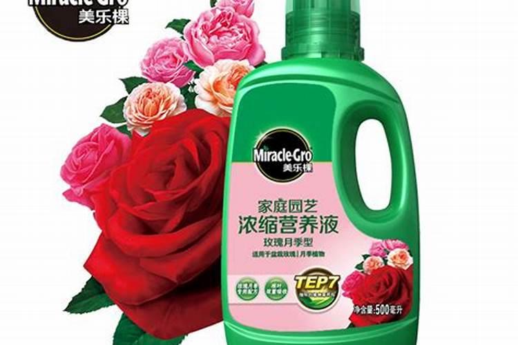 黄豆发酵后是磷钾肥吗