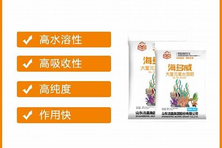 西红柿黑杆是什么原因造成的