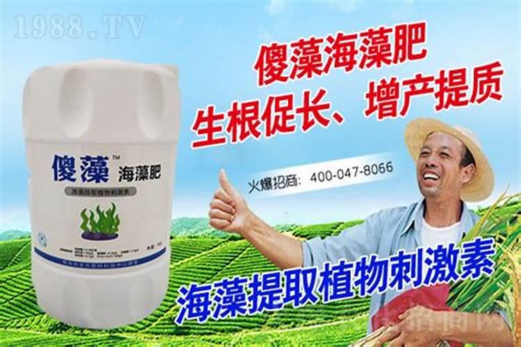 海藻肥十大品牌