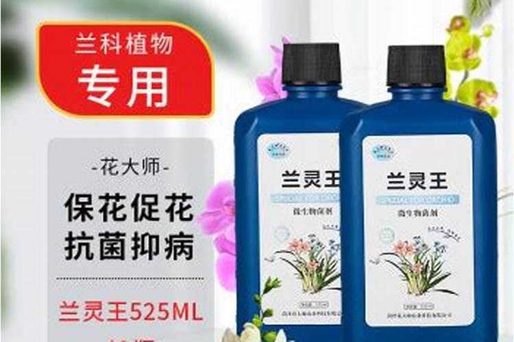 韭菜喜欢哪种肥料