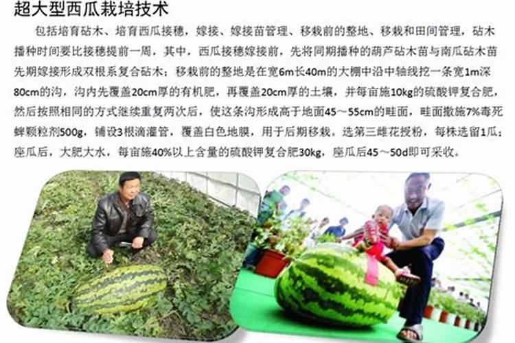 水溶复合肥在西瓜什么阶段使用？