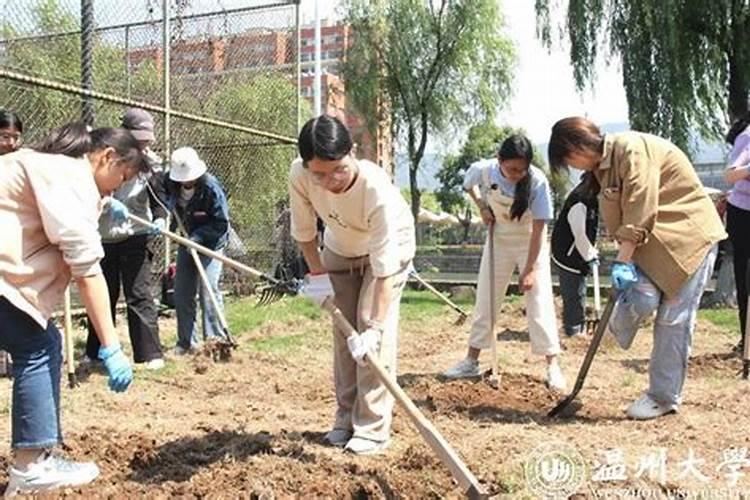 先正达着色亮果叶面肥哪款好