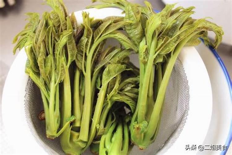怎样保存鲜香椿