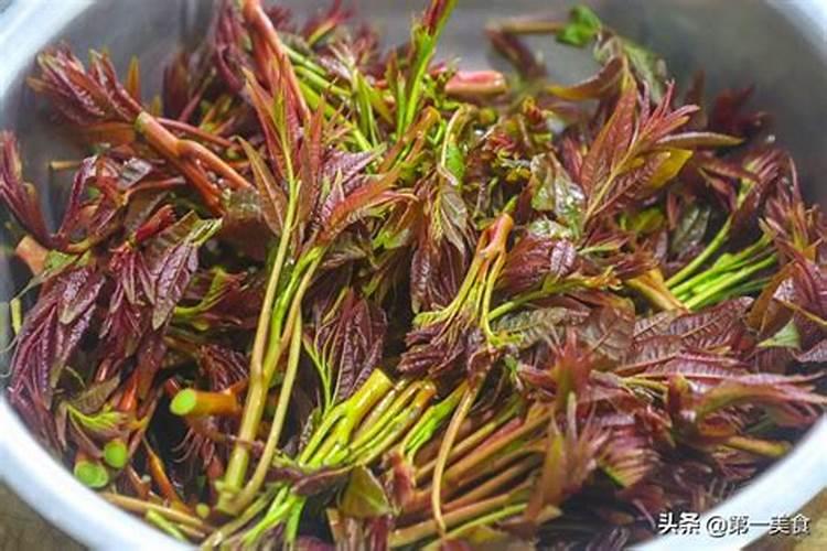 香椿好吃但不宜保持