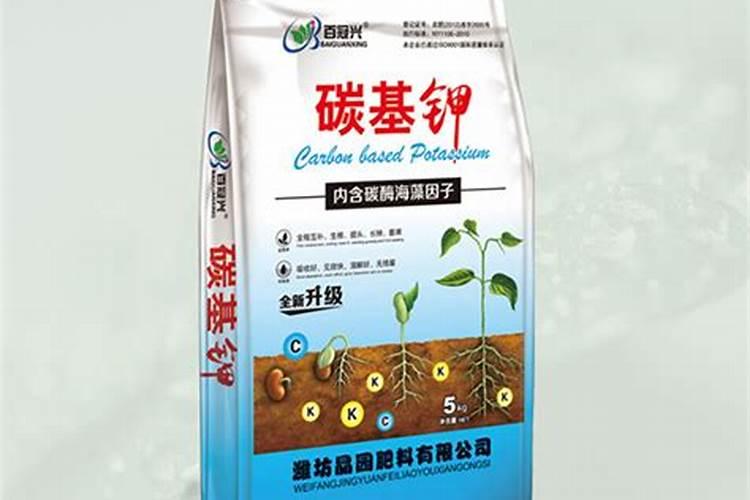 肥料伴侣是什么肥