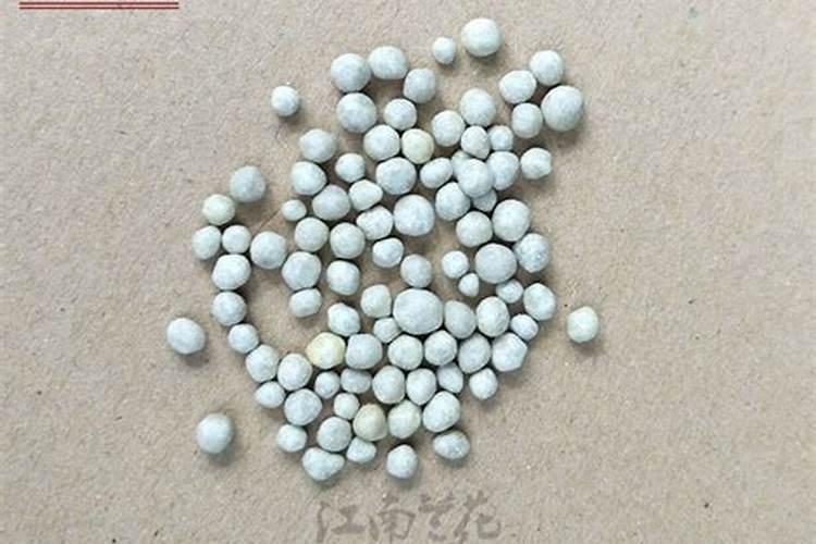 兰花用什么肥料