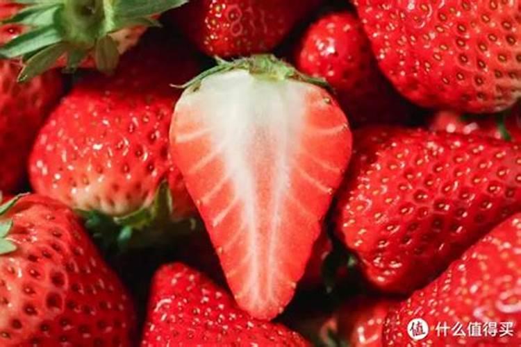 草莓开花了可以施什么肥