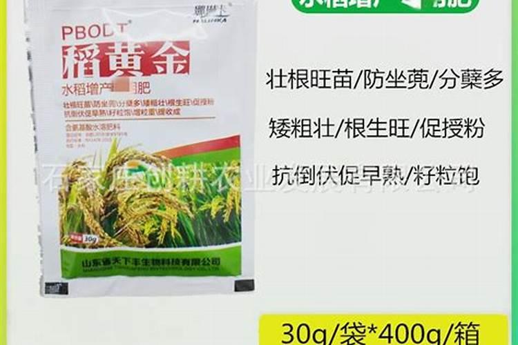 水稻叶面肥哪种好 如何正确喷施