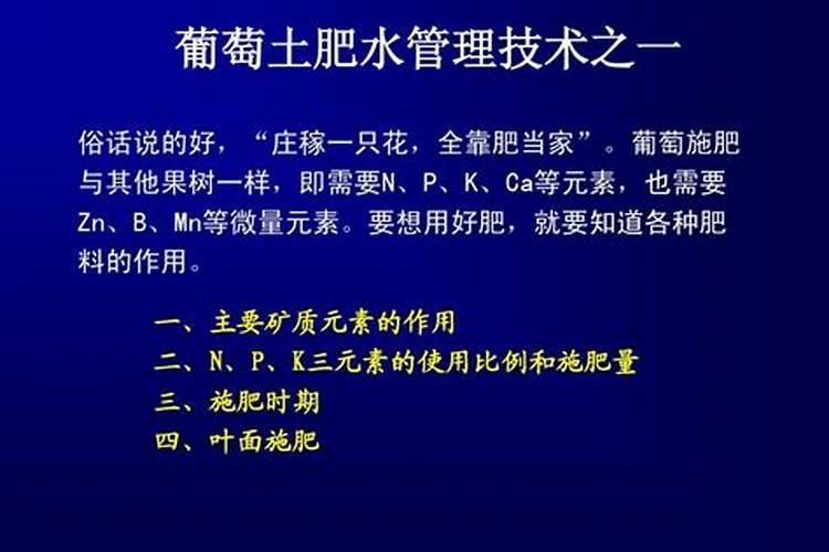 大棚葡萄的栽培方法