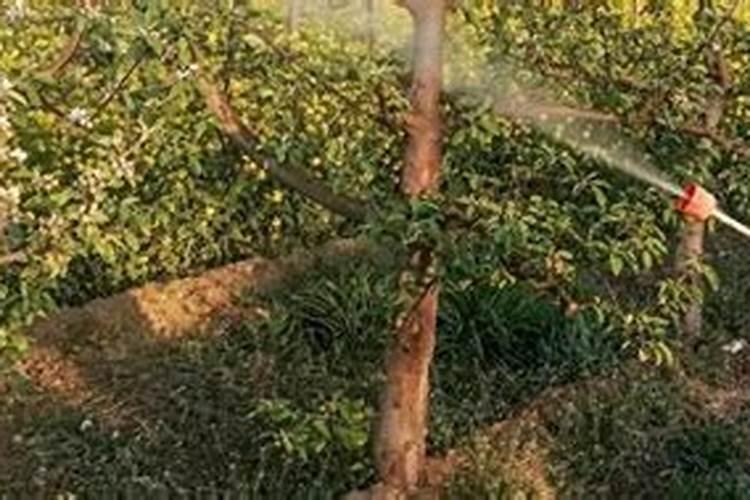 杀虫杀菌剂流体硼能混用吗