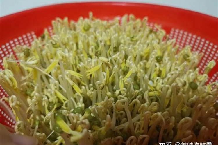 一斤尿素泡几斤豆芽