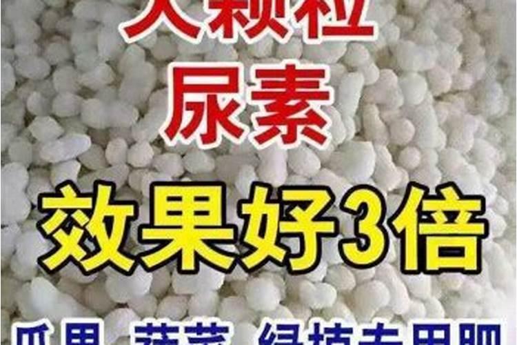 种菜用尿素还是复合肥