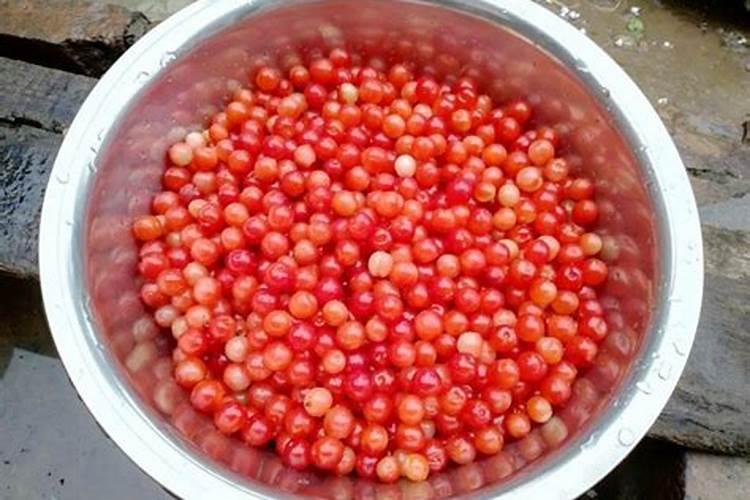 什么是鱼蛋白肥料,鱼蛋白肥料作用及使用方法