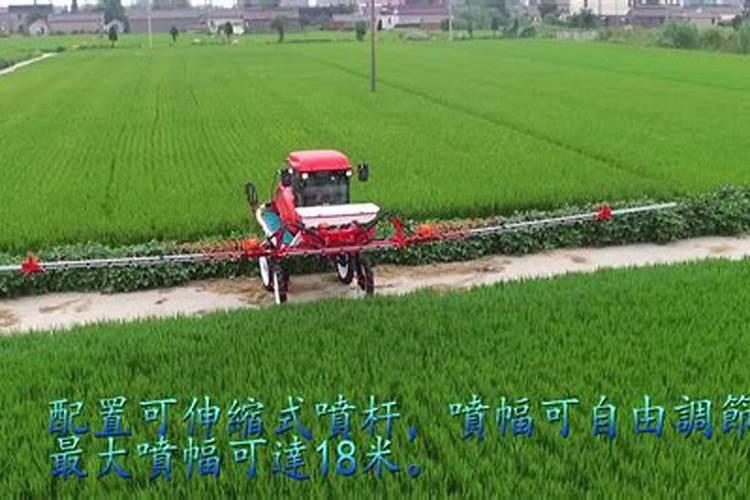 什么是平衡施肥技术？丝瓜如何进行平衡施肥？