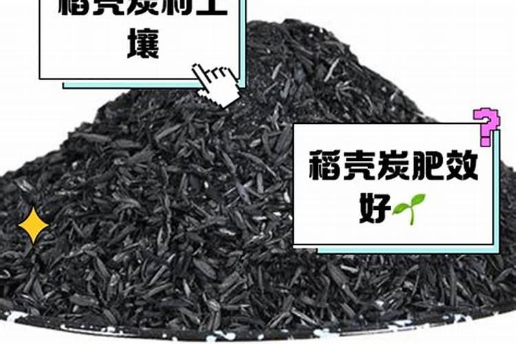 使用粗木屑养殖兰花小技巧,如何正确的去种植呢,一起？