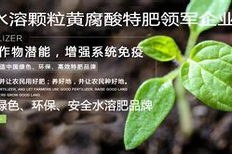水溶肥排名前十位的有哪些品牌