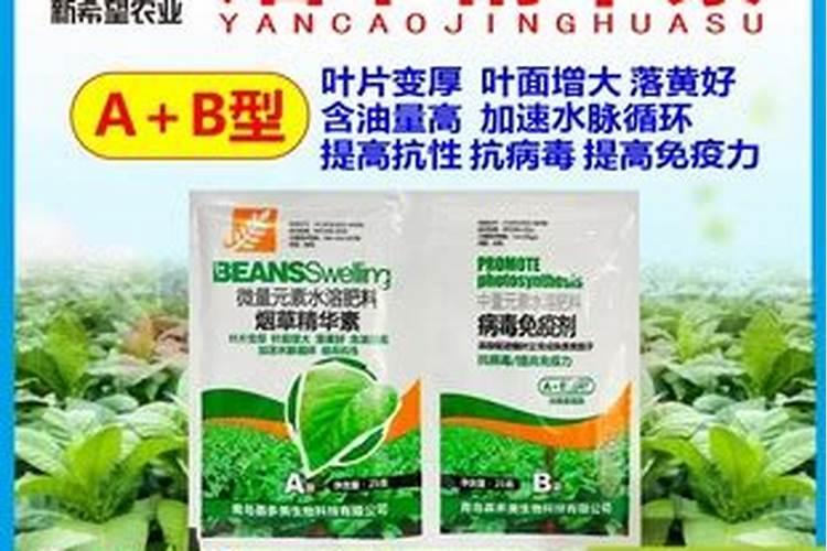烟草打什么药好