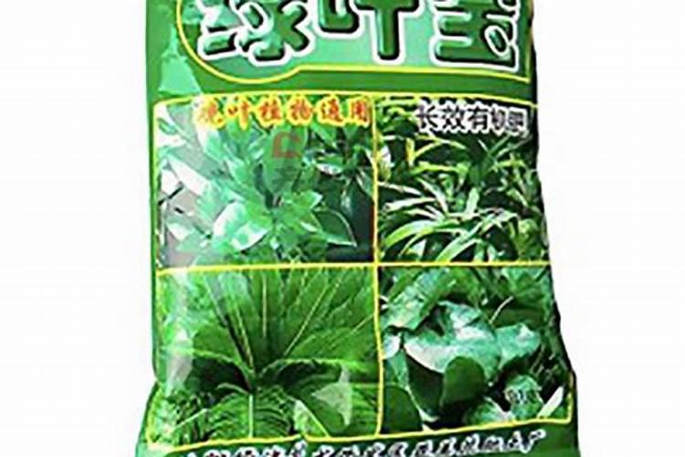 绿萝施肥使用绿叶宝可以吗