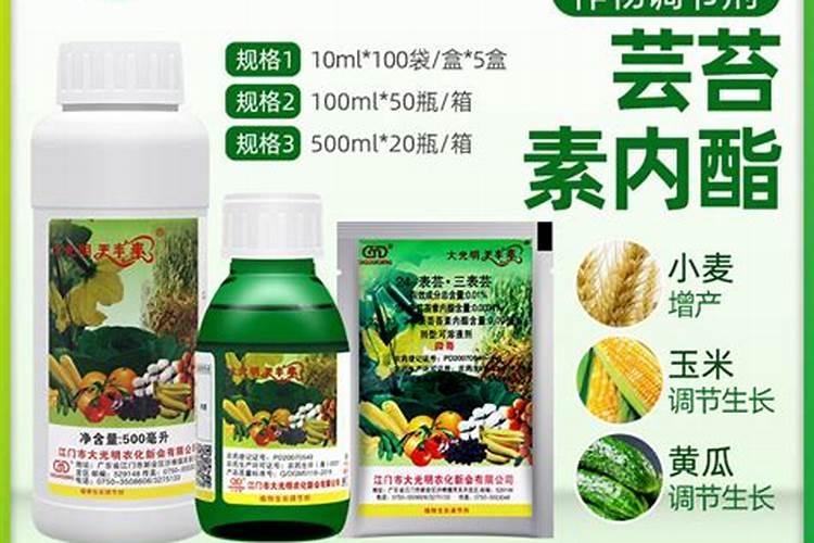 玉米幼苗喷芸苔素后果会怎样
