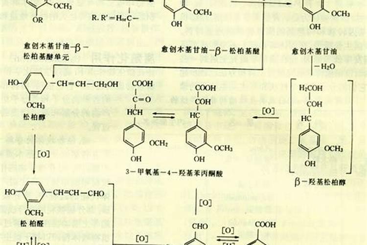 氯水会与哪些有机物反应？反应类型是什么？
