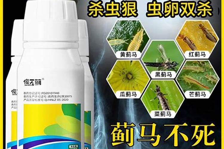 大棚草莓不甜怎么办？用什么肥料甜？