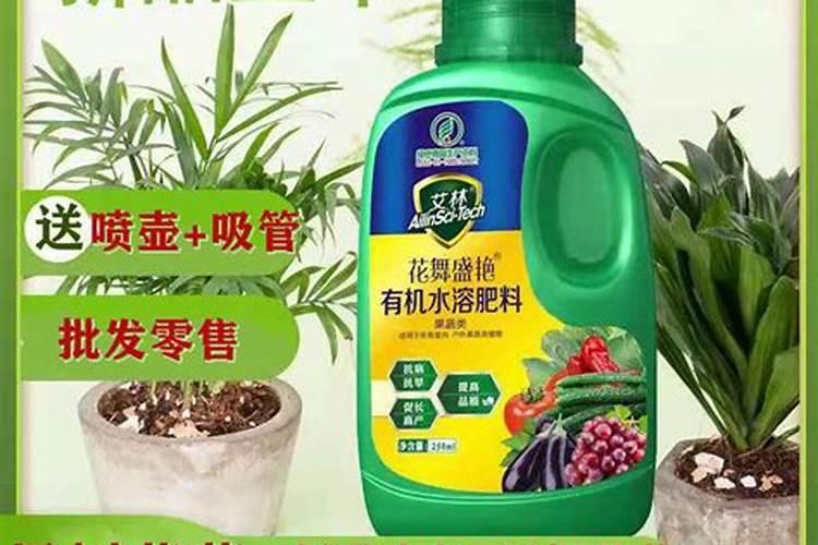 红枣在四月下旬上底肥有效果吗？