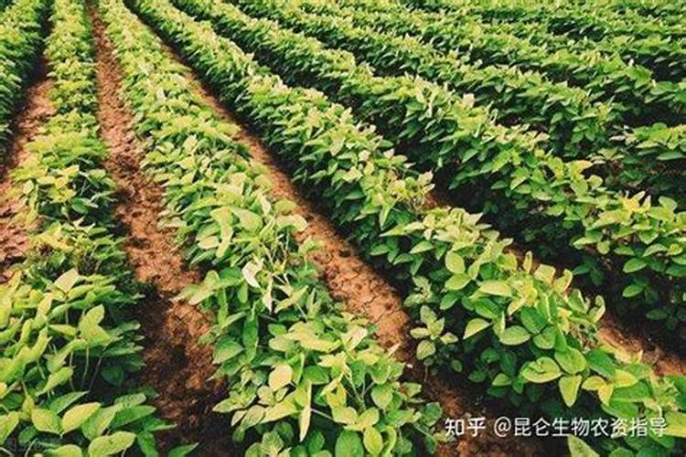 氮磷钾肥有哪些