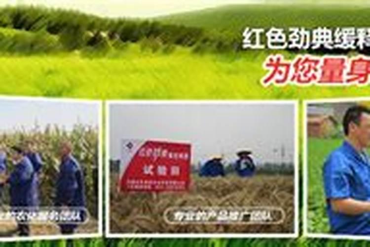 安徽几大品牌复合肥