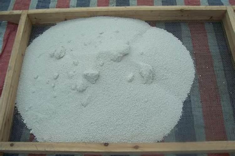 我今年种的四季豆都长两米高了还没有开花,是什么原因？